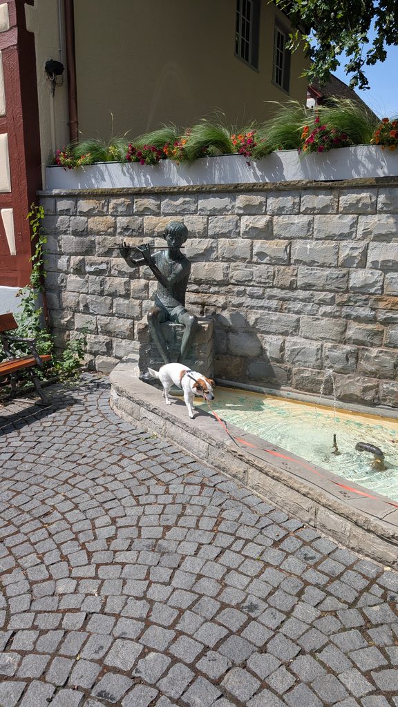 Tyson trinkt am Musikantenbrunnen mit Flötenspieler-Figur in der Altstadt von Meersburg