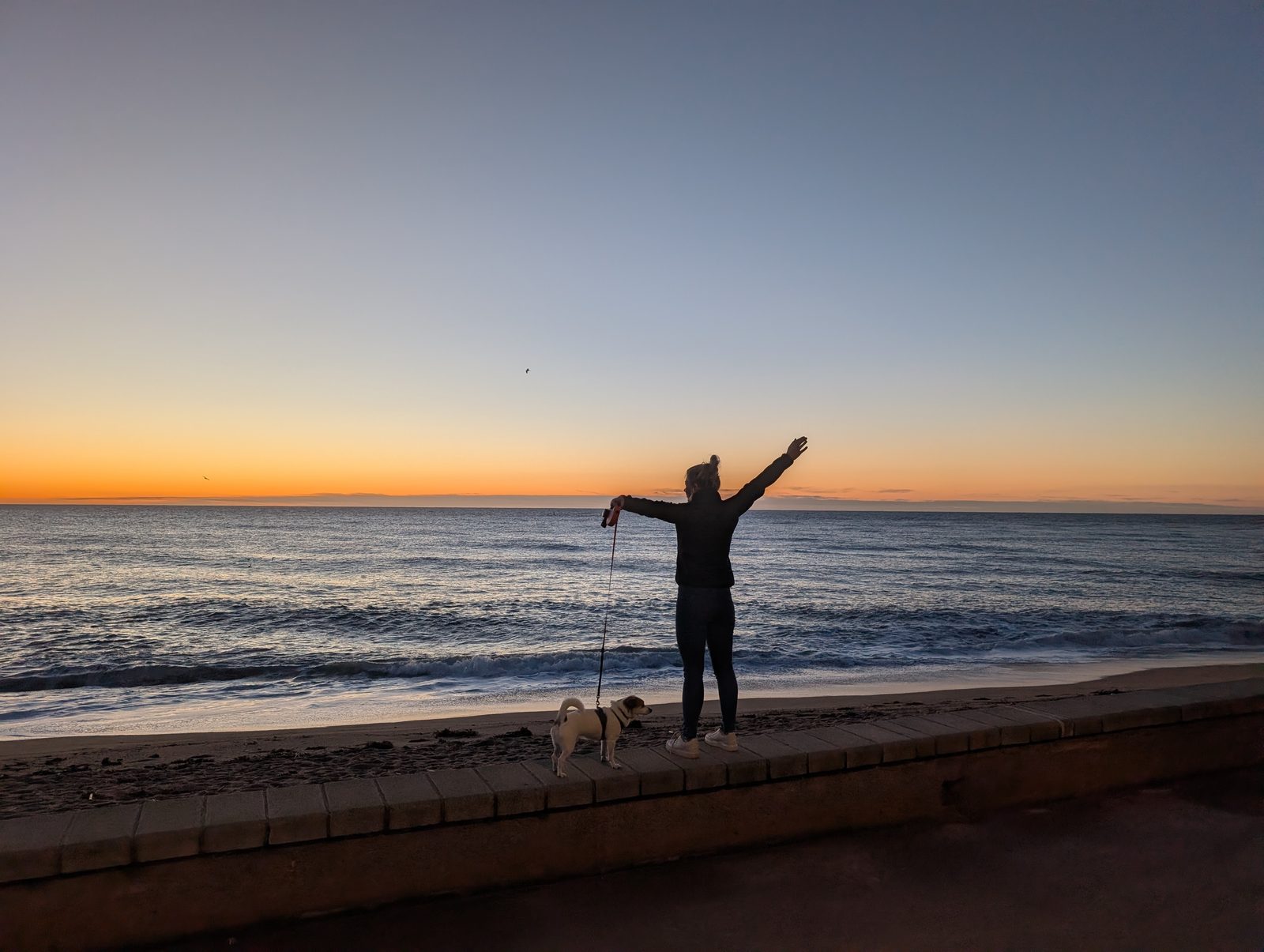 Frau mit Hund auf der Strandmauer von Blanes vor dem Sonnenaufgang über dem Meer