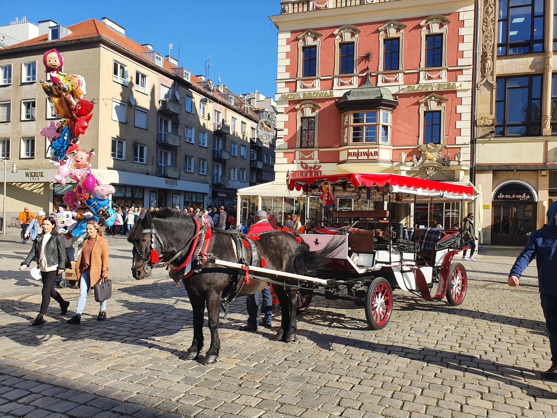 Eine Pferdekutsche wartet vor den bunten Häuserfassaden auf dem Breslauer Marktplatz