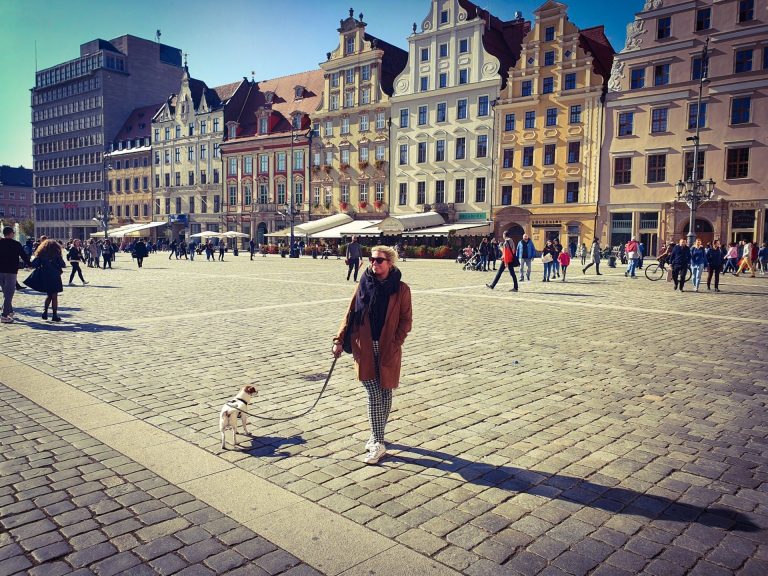 Breslau an einem Tag: der Rynek mit den bunten Giebelhäusern und dem Rathaus im Sonnenlicht