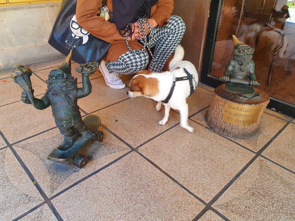 Eine kleine Bronzefigur, ein Breslauer Zwerg, auf dem Gehweg, daneben schnuppert Hund Tyson