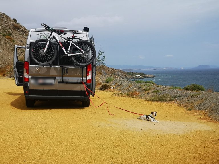 Tyson liegt neben unserem Camper oben auf der Steilküste der Cala Cristal