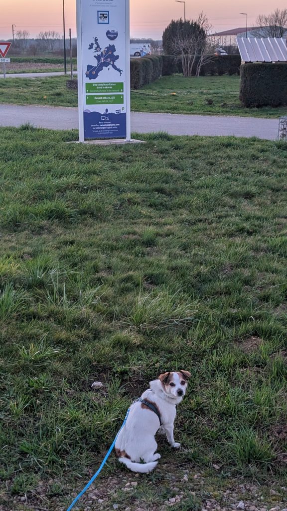 Jack Russell Tyson sitzt auf der Wiese vor dem Schild des Camping-Car Park in Beaufort-Orbagna