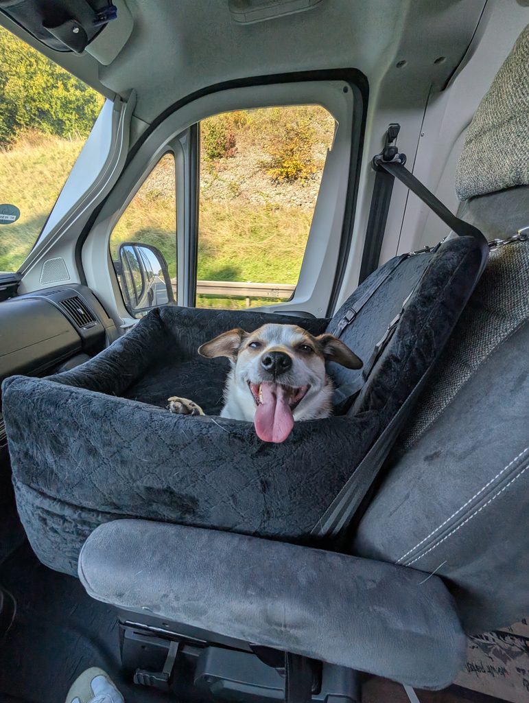 Tyson sitzt gesichert in seiner Hundebox auf dem Beifahrersitz im Camper