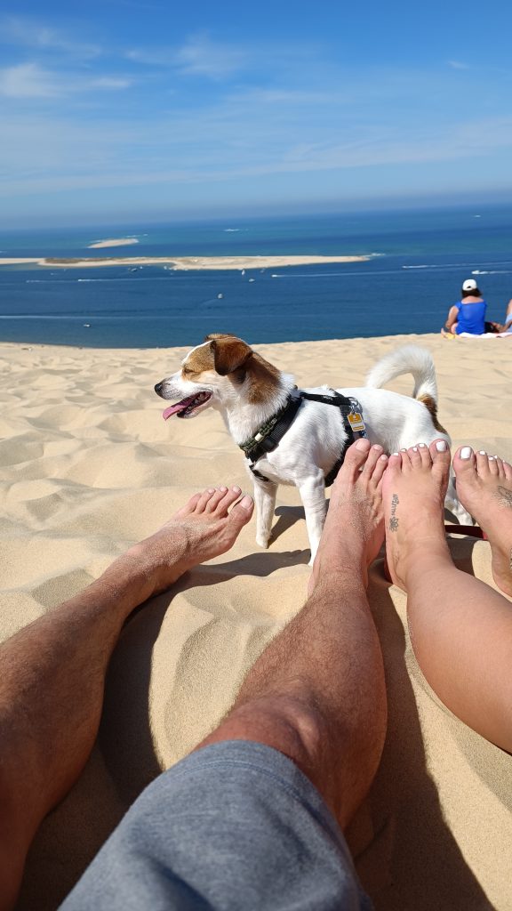 Füße und Hund auf dem Dünenkamm mit Meerblick