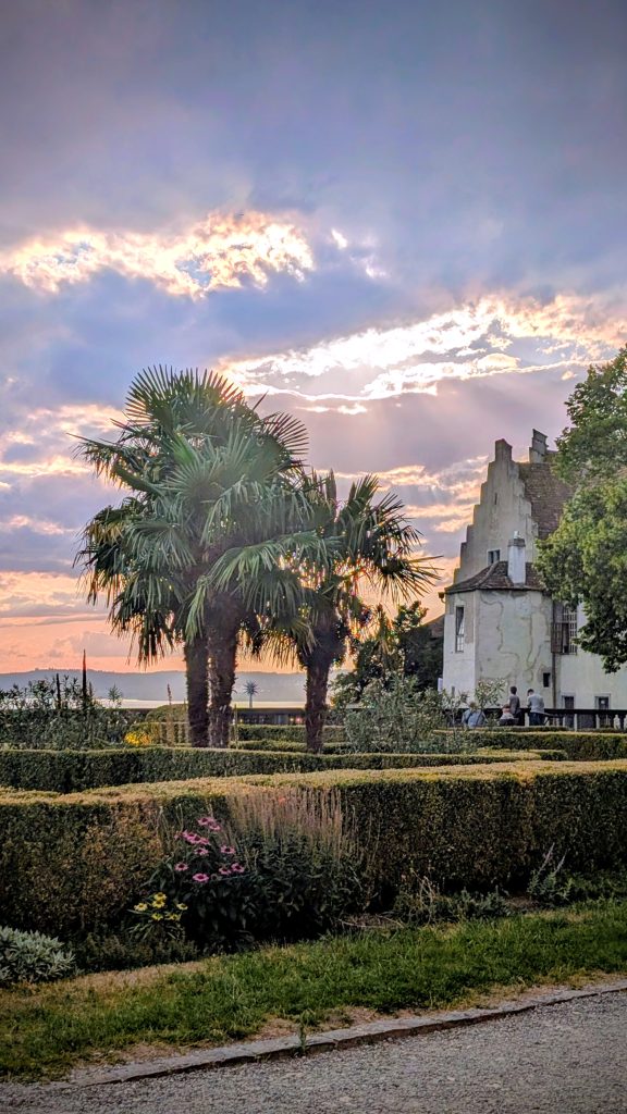 Palmen im Schlossgarten des Neuen Schlosses bei Sonnenuntergang in Meersburg