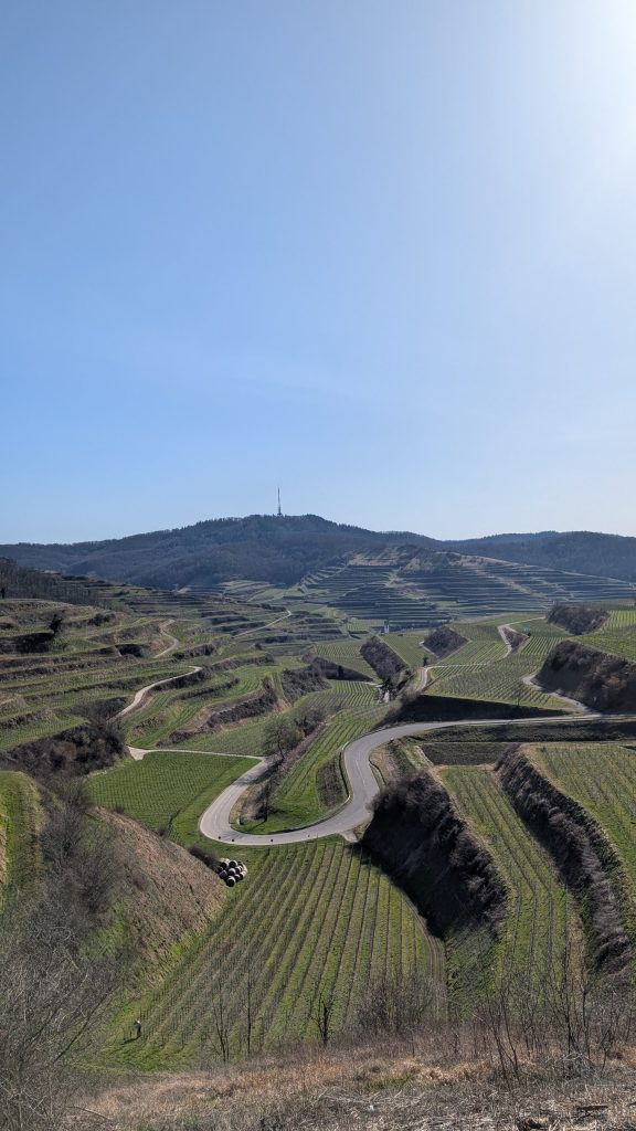 Serpentinen durch die Weinberge am Texaspass im Kaiserstuhl