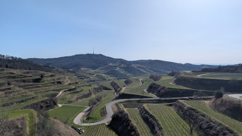 Blick vom Texaspass über die Weinterrassen des Kaiserstuhls mit kurviger Straße im Februar