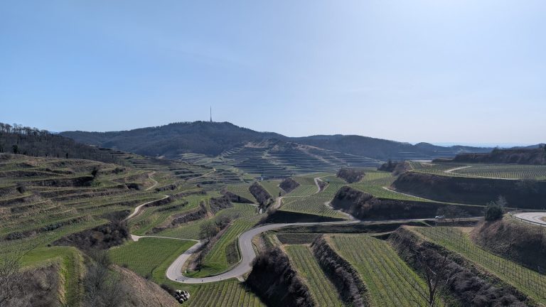 Weinterrassen am Texaspass im Kaiserstuhl
