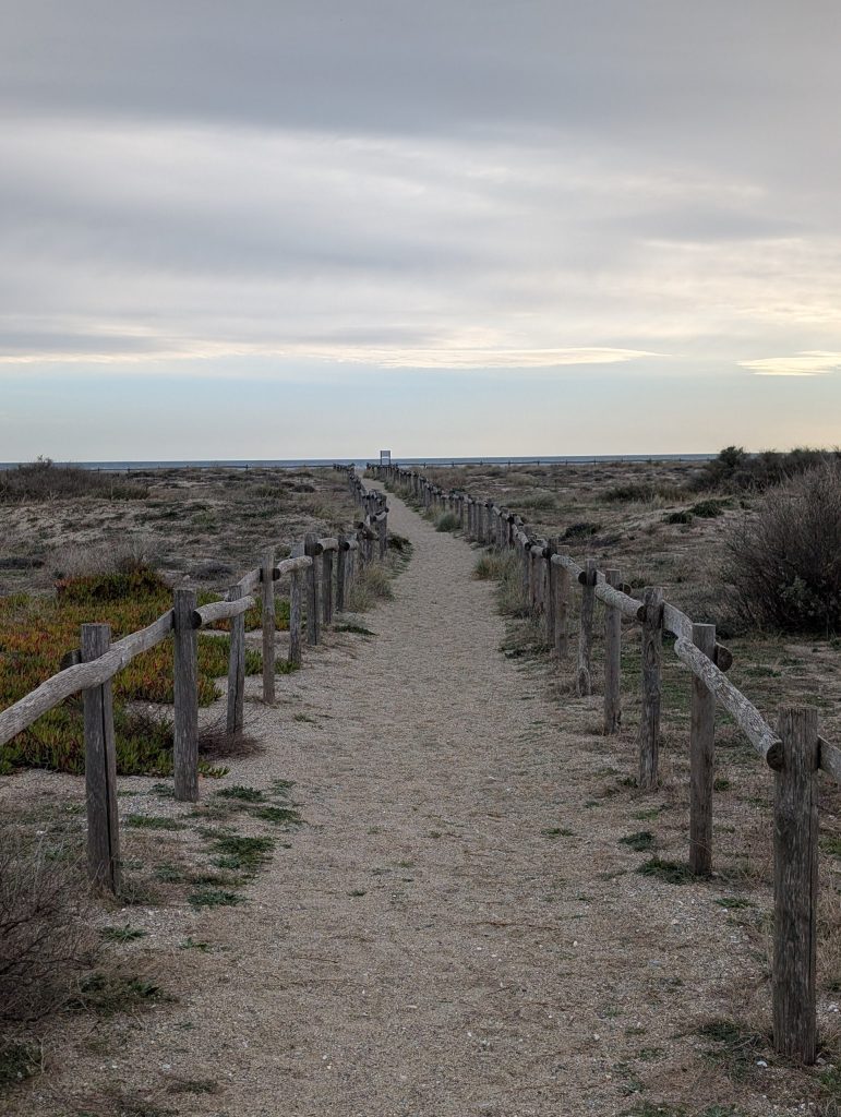 Sandweg mit Holzgeländer durch die Dünen zum Strand von Le Barcarès