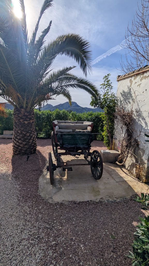 Alte Kutsche unter einer Palme an einer weißen Mauer auf dem Stellplatz in Alcalalí