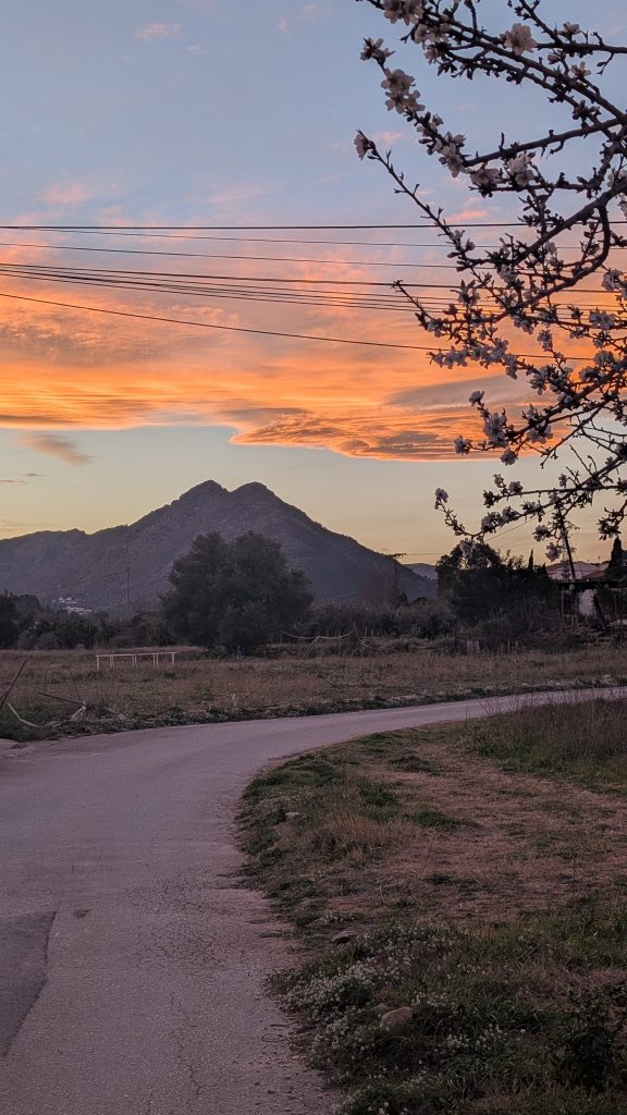 Sonnenuntergang mit orangen Wolken über den Bergen bei Alcalalí, ein schmaler Weg, oben blühende Zweige