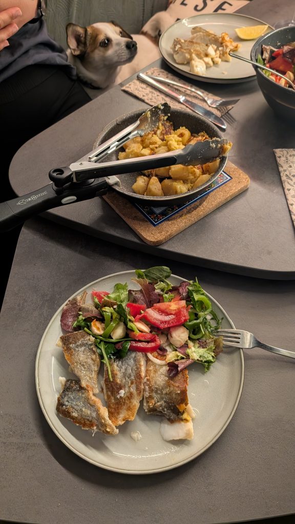 Abendessen am Tisch, Fisch mit Salat und Kartoffeln, im Hintergrund schaut Jack Russell Tyson zu
