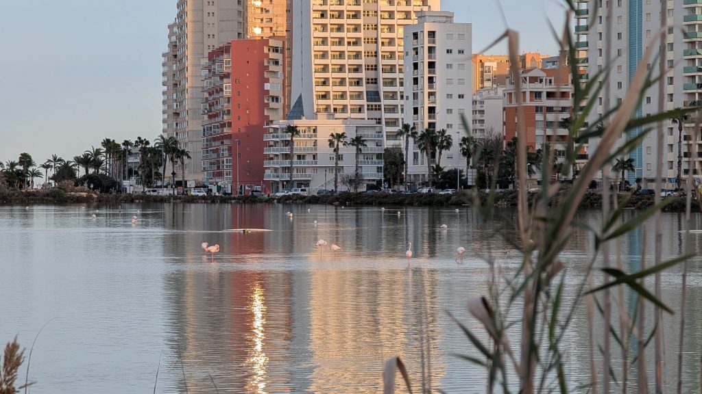 Die Salinas von Calp am Abend, dahinter Hochhäuser, die sich im Wasser spiegeln