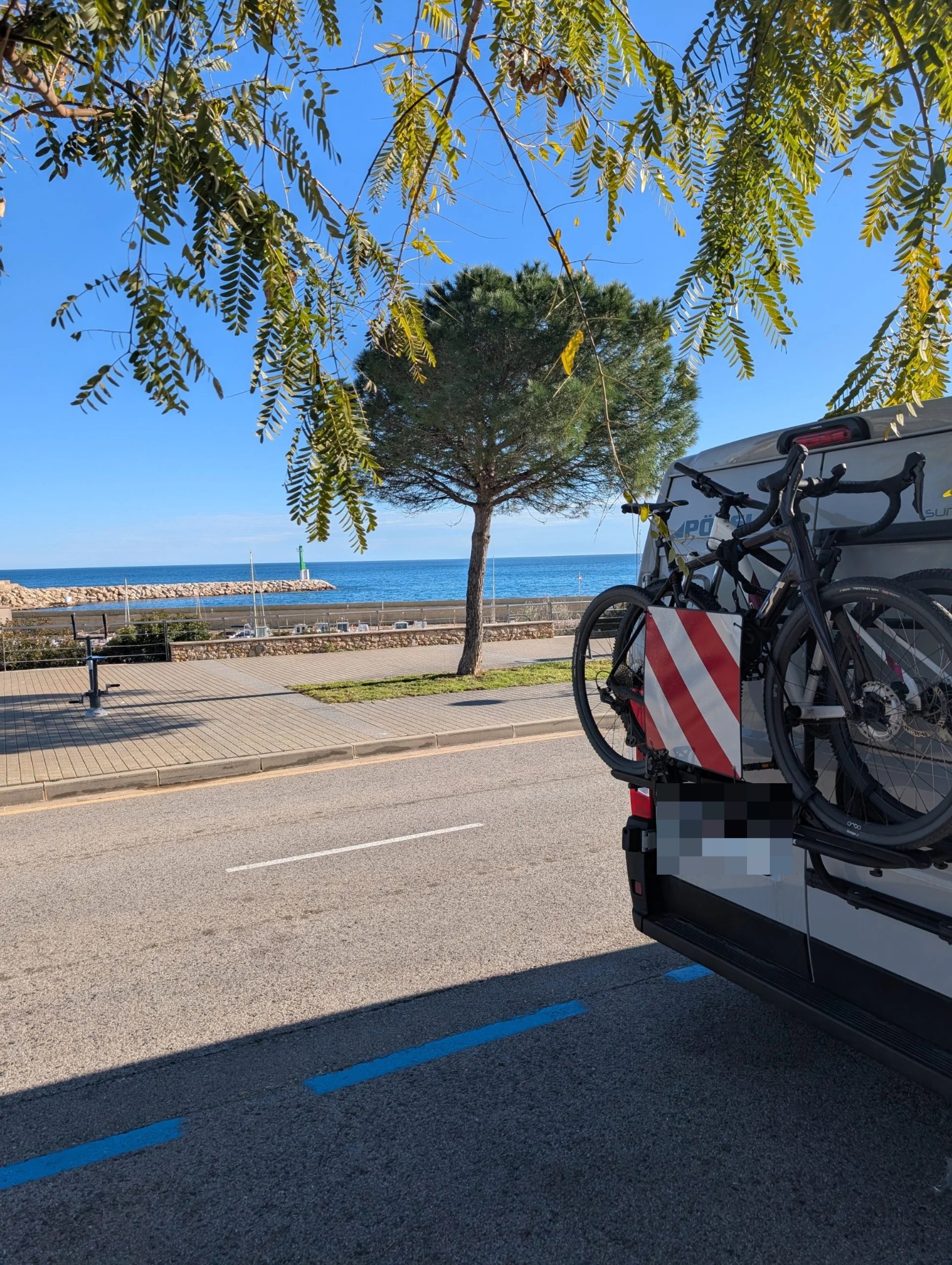 Heck des Campers mit Fahrradträger, Pinien und Meer im Hintergrund